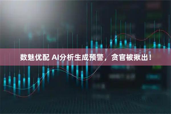 数魅优配 AI分析生成预警，贪官被揪出！
